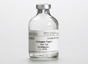 354234     10 ML/BD Matrigel基底膜基質(zhì)  BD BIOCOAT